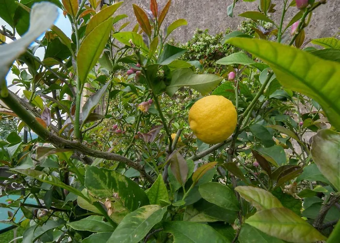 Cristani Appartement *