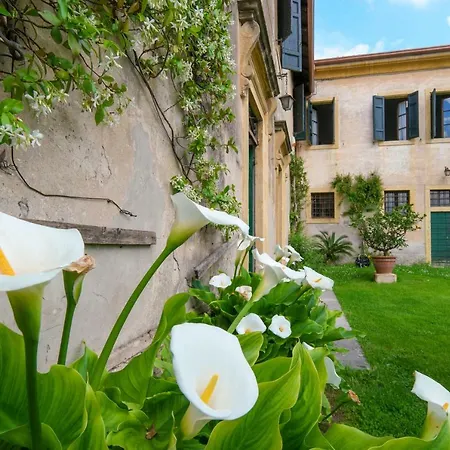 Cristani Apartman Pedemonte