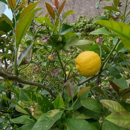 Cristani Apartment *